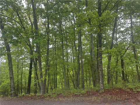1417 Foxhound Trail NE Ranger GA 30734