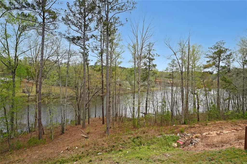 3725 Rifflewood Way, Douglasville, Georgia image 31