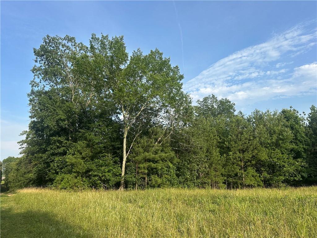 Iron Hill Road, Taylorsville, Georgia image 4