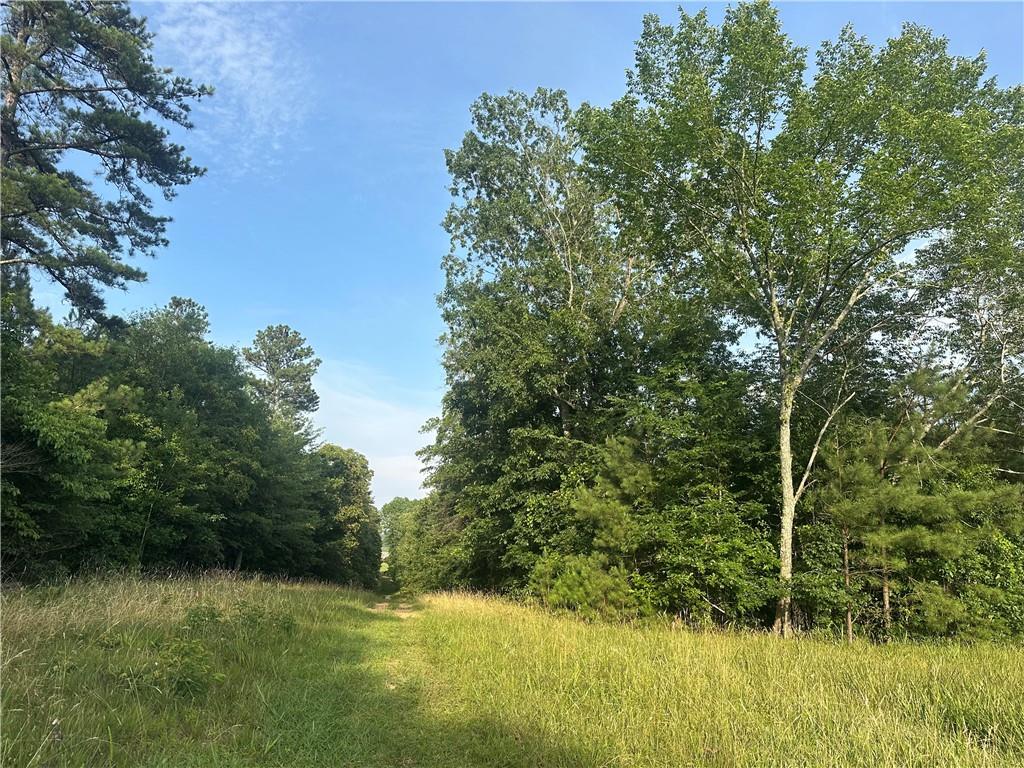 Iron Hill Road, Taylorsville, Georgia image 5