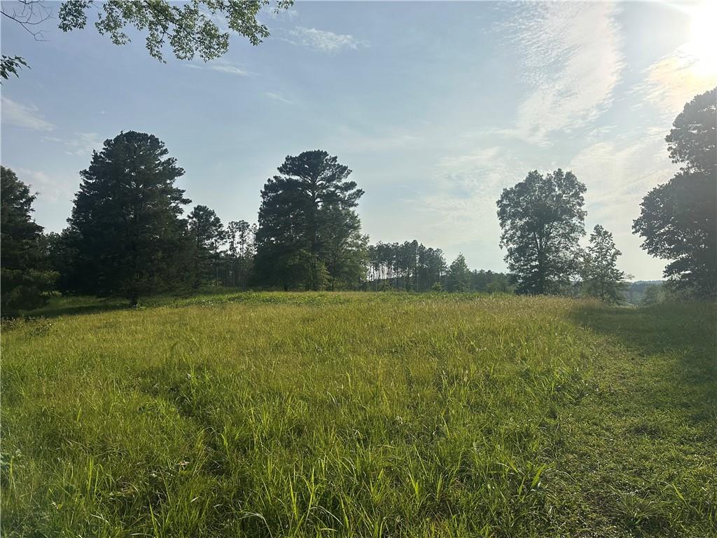 Iron Hill Road, Taylorsville, Georgia image 7