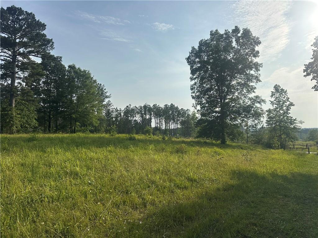 Iron Hill Road, Taylorsville, Georgia image 3