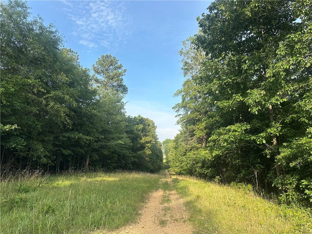 Iron Hill Road, Taylorsville, Georgia image 6