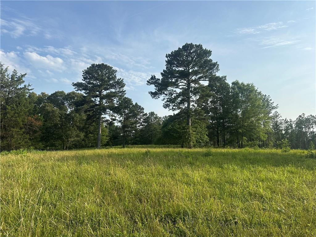 Iron Hill Road, Taylorsville, Georgia image 2