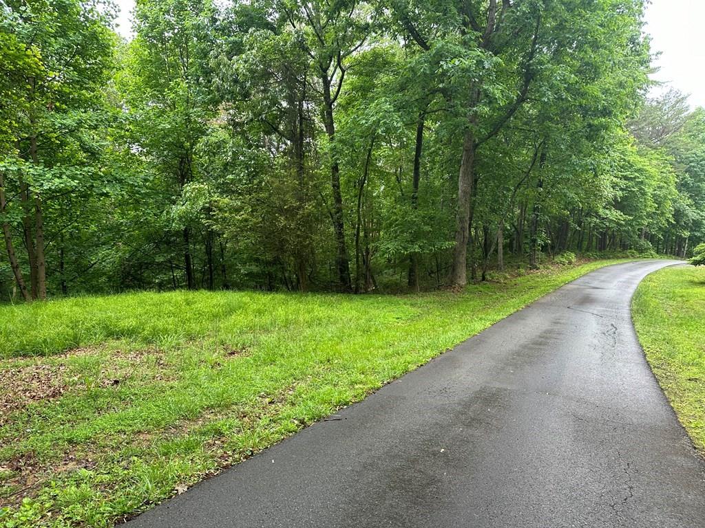 Lot 40 Timberwalk Drive, Ellijay, Georgia image 3