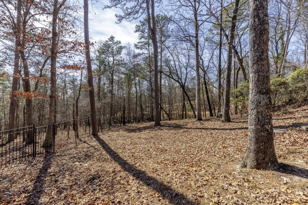 listing image 65