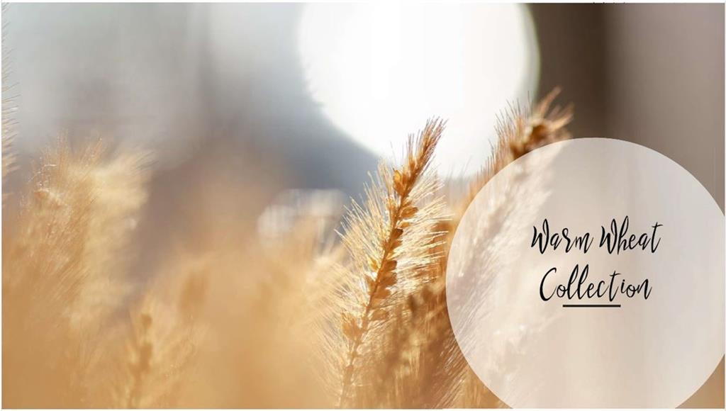 Market Square at Sawnee Village - Residential