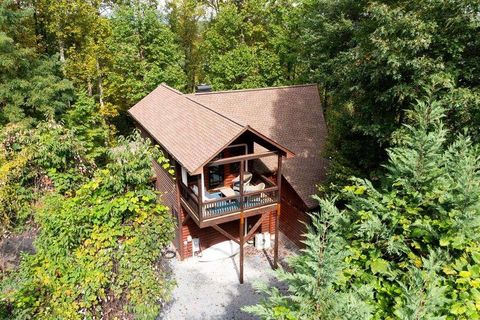 251 Ridge Circle Blue Ridge GA 30513