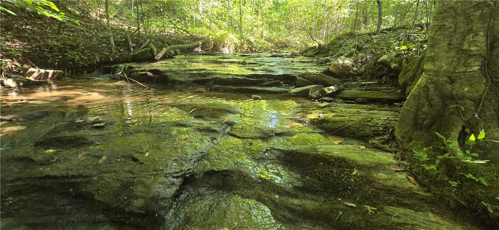 Welcome to the Outback, located in beautiful Talking Rock, Georgia. These two wonderful lots are being sold together, providing 9.4 AC+/- of Mountain Land. The rushing waters of Fisher Creek run along the back side of the property, with an old road bed providing easy access to the creek. There is an absolutely wonderful home site on the property, providing an opportunity for either a basement or slab home. As can be seen in the photos, the potential for a long range view is possible. Mature Hardwoods along with Mountain Laurel are found throughout the property. The Outback offers paved, private roads, along with underground utilities. The HOA is active along with the CCR, keeping the neighborhood in wonderful condition. The homes that are currently in the community are well maintained and pleasant. Talking Rock is only an hour from Atlanta, while being nestled in the heart of some of North Georgia's most beautiful country. Please take this opportunity to own you part of the North Georgia Mountains. Pickens County Tax ID numbers 009 047 089 and 009 047 090 are being sold together.