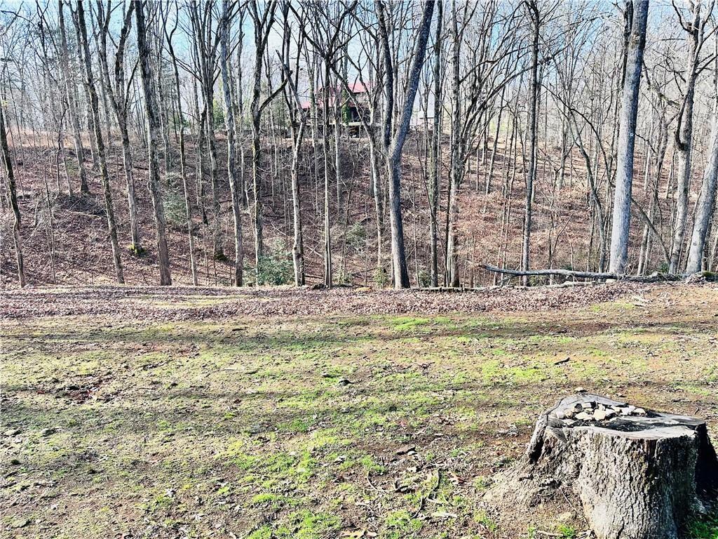 6134 Grant Ford Road