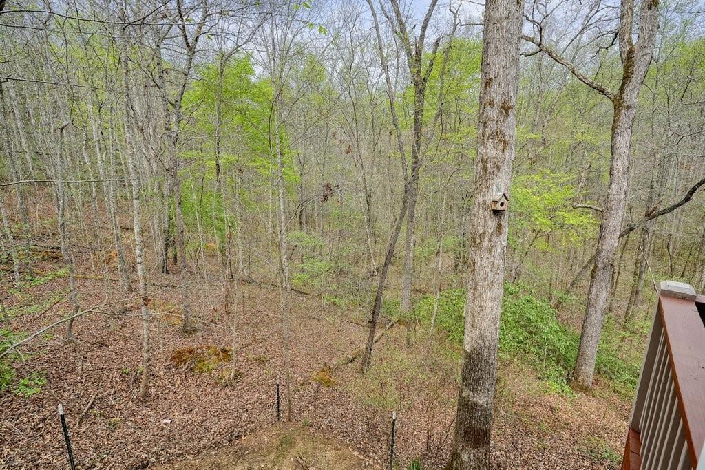 2232 Burnt Mountain Road, Jasper, Georgia image 42