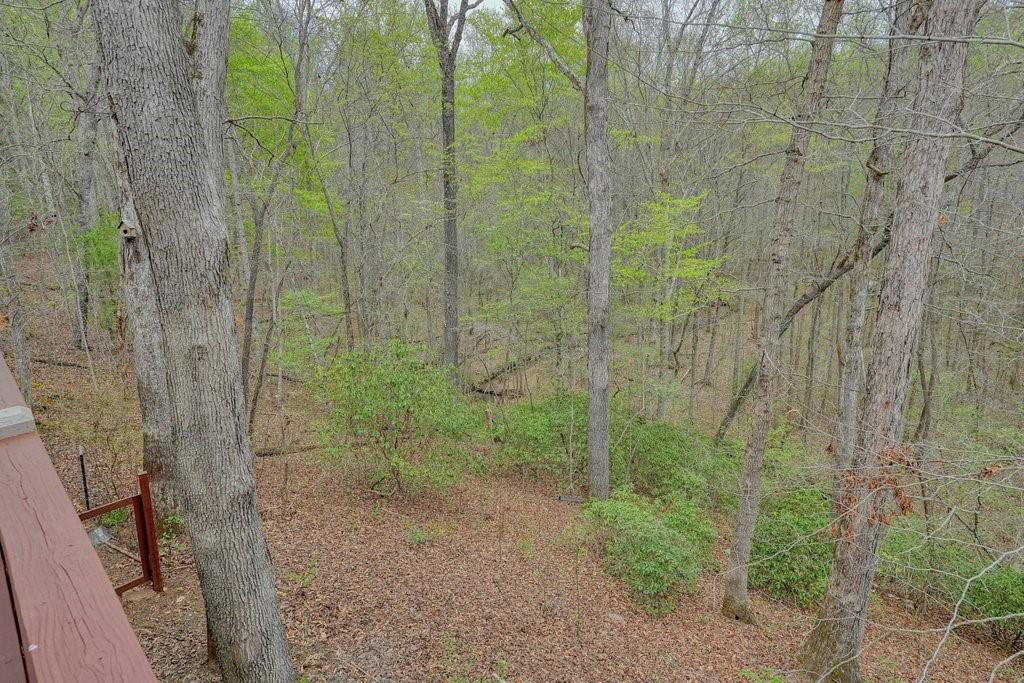 2232 Burnt Mountain Road, Jasper, Georgia image 41