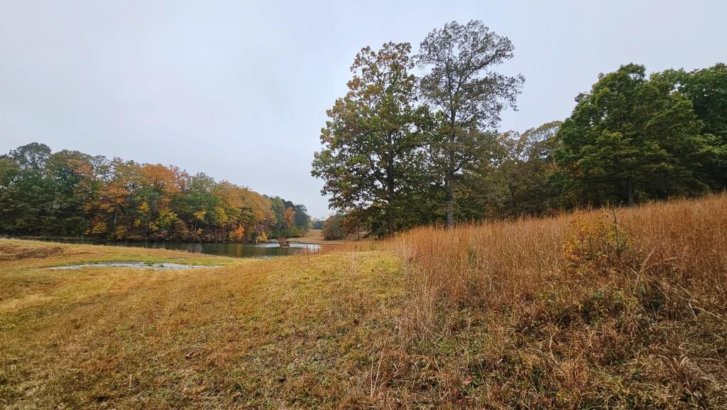 Lot 1 Snote Jones Road