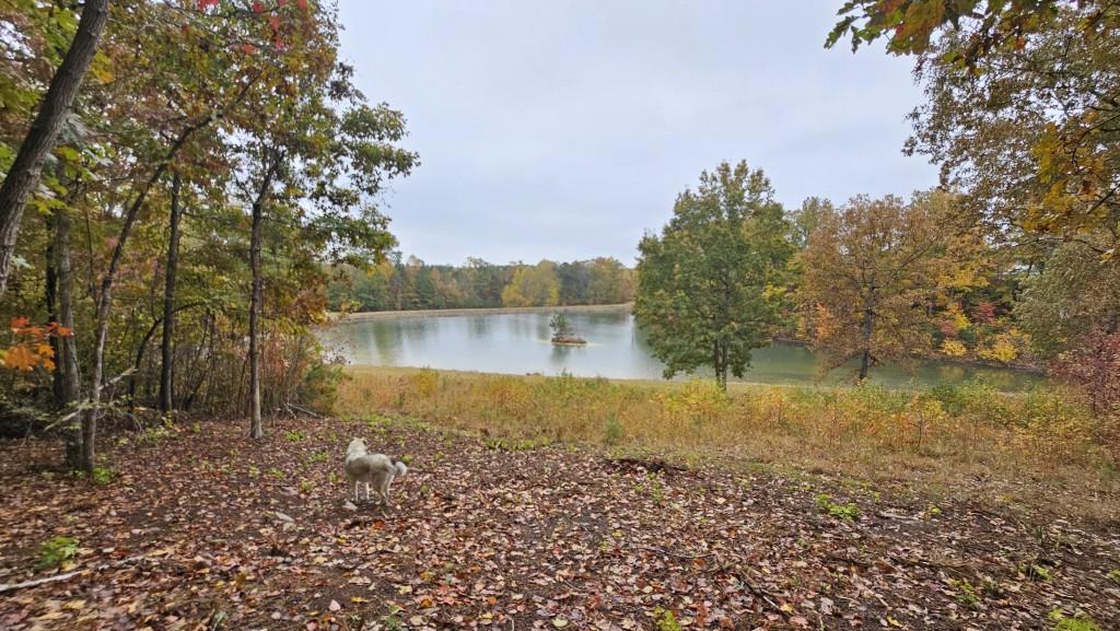 Lot 1 Snote Jones Road