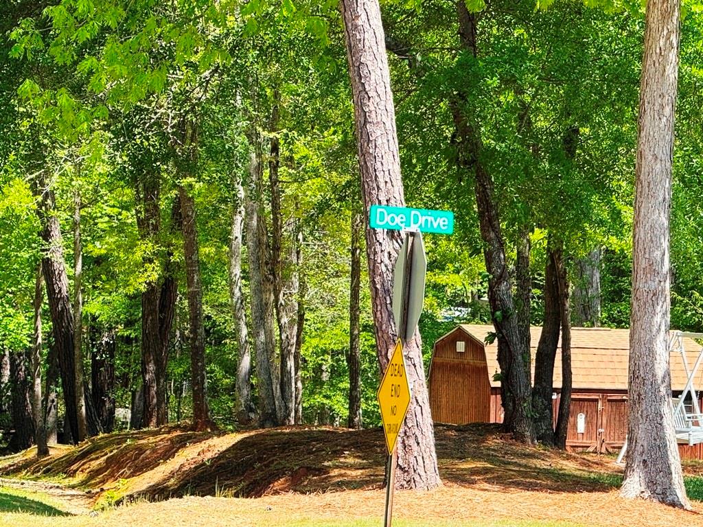 105 Doe Drive, Temple, Georgia image 35