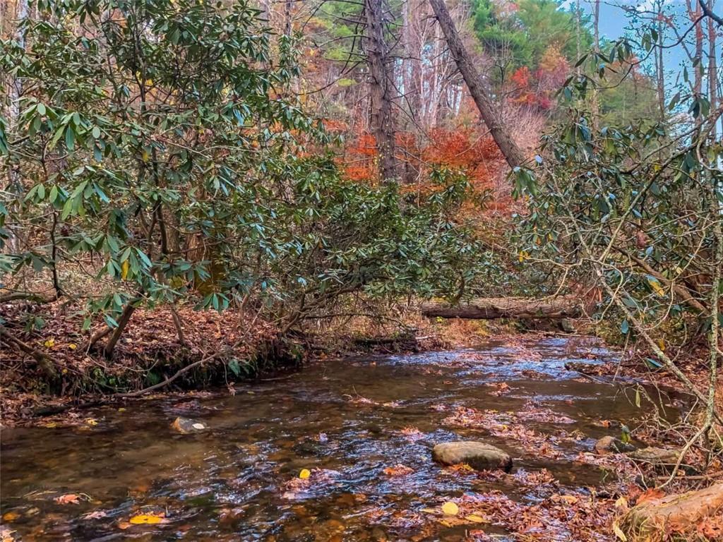 60 Bailey Creek Drive