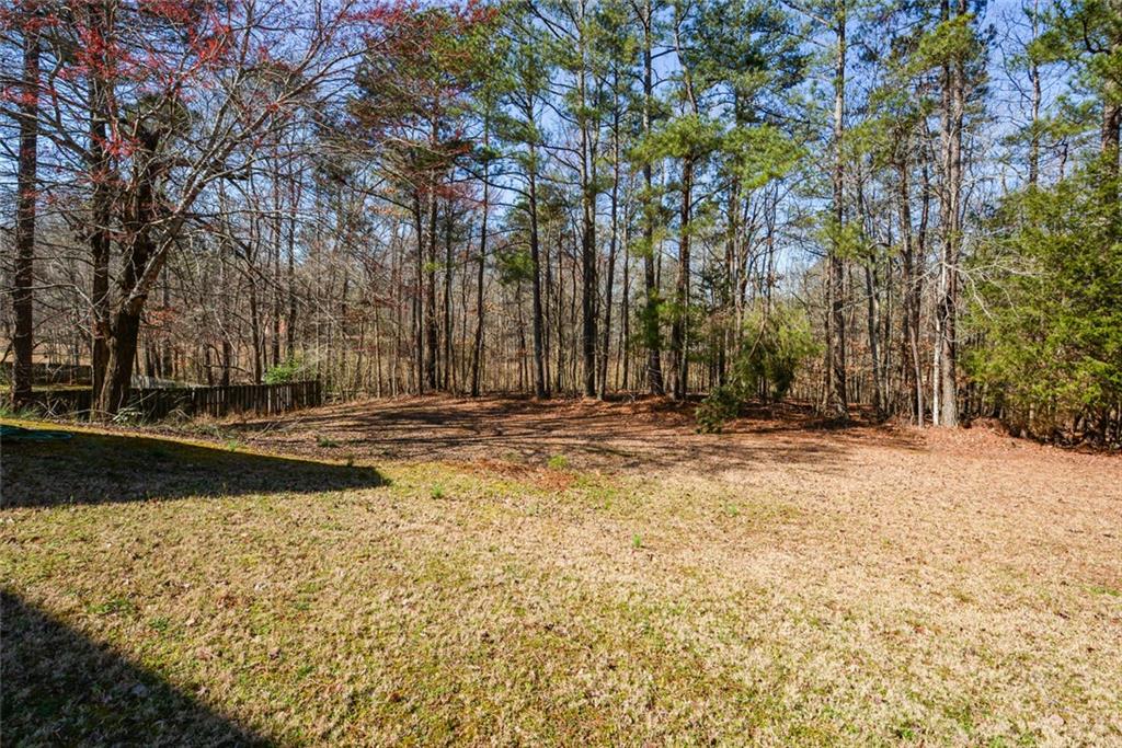 305 Collegiate Drive, Powder Springs, Georgia image 50
