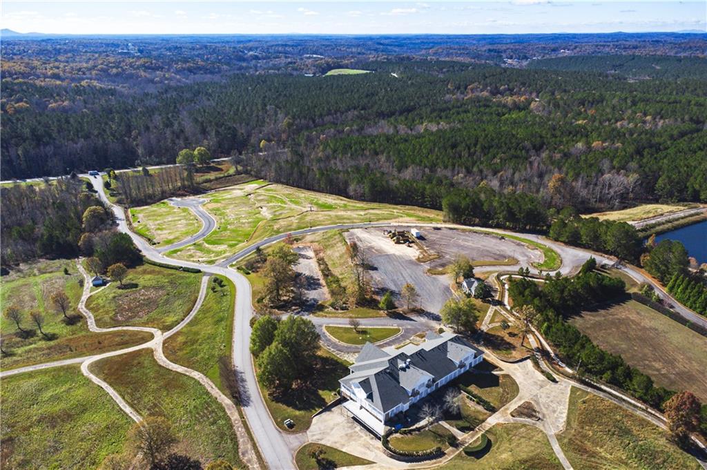 42 Gold Dust Drive, Dawsonville, Georgia image 6