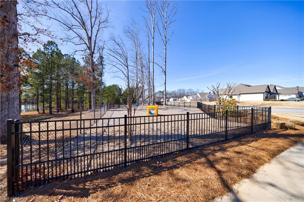 17 Baral Ridge, Sharpsburg, Georgia image 25
