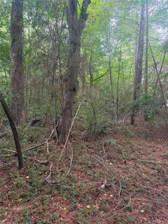 Photo of 822 Tabby Lane, Athens, GA 30605 (MLS # 7840303)