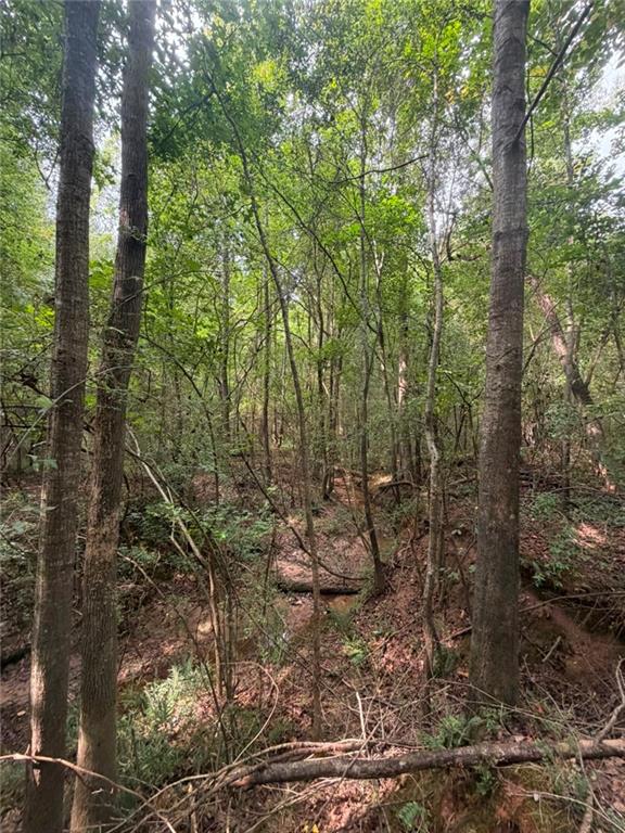 Photo of 822 Tabby Lane, Athens, GA 30605 (MLS # 7840303)