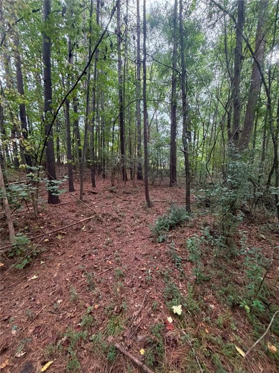 Photo of 822 Tabby Lane, Athens, GA 30605 (MLS # 7840303)