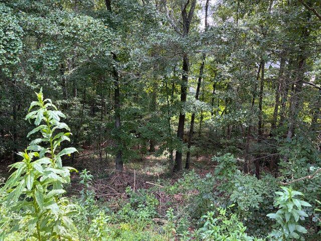2412 SNOWSHOE Bend