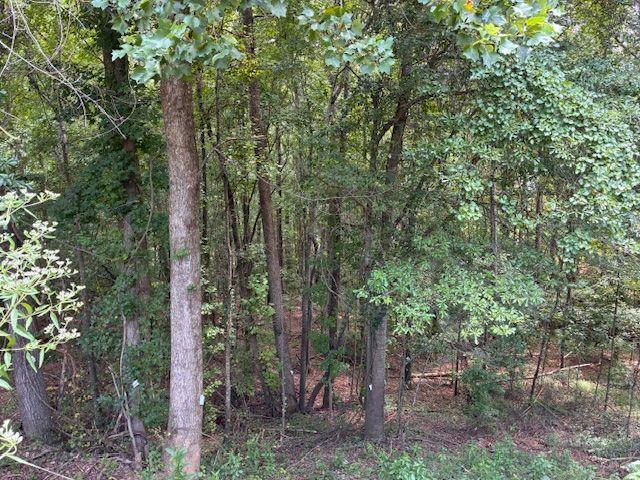 2412 SNOWSHOE Bend
