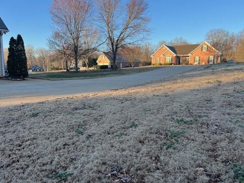 A home in Mcdonough