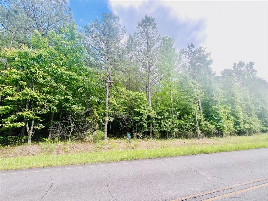 Tract Law Rd, Cartersville, Georgia image 2