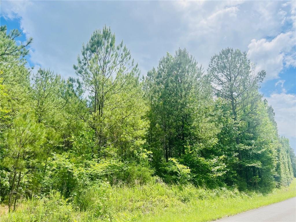 Tract Law Rd, Cartersville, Georgia image 1