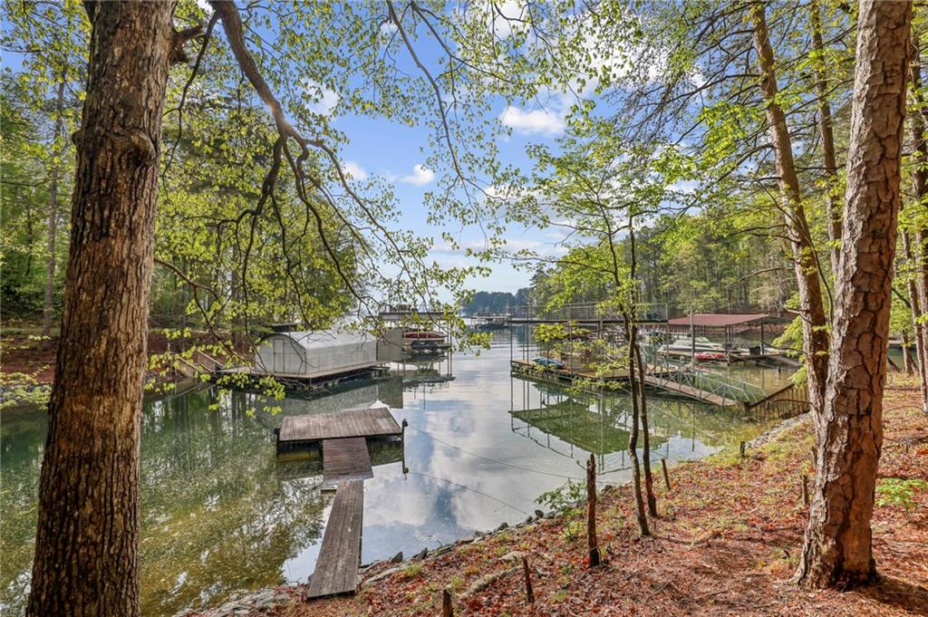 3115 Chimney Cove Lane, Cumming, Georgia image 2