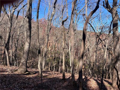 Vacant Land For Sale - 4412 Bee Tree Ridge Drive<br/> Jasper, GA 30143