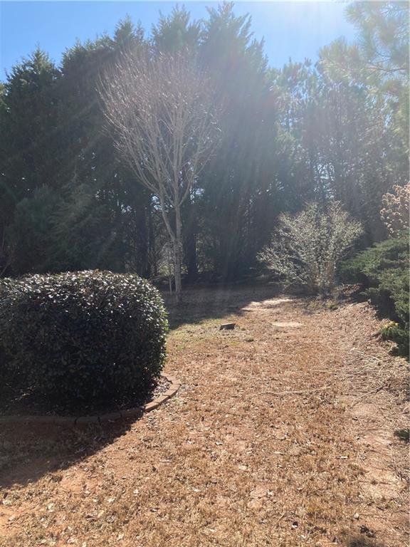35 Pearls Way, Dawsonville, Georgia image 14