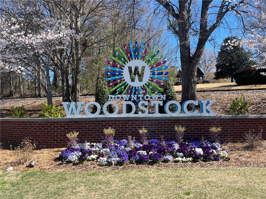 217 Napa Drive, Woodstock, Georgia image 33