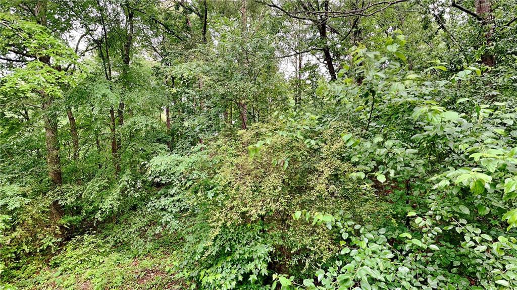 26 Nottingham Drive, Cartersville, Georgia image 11