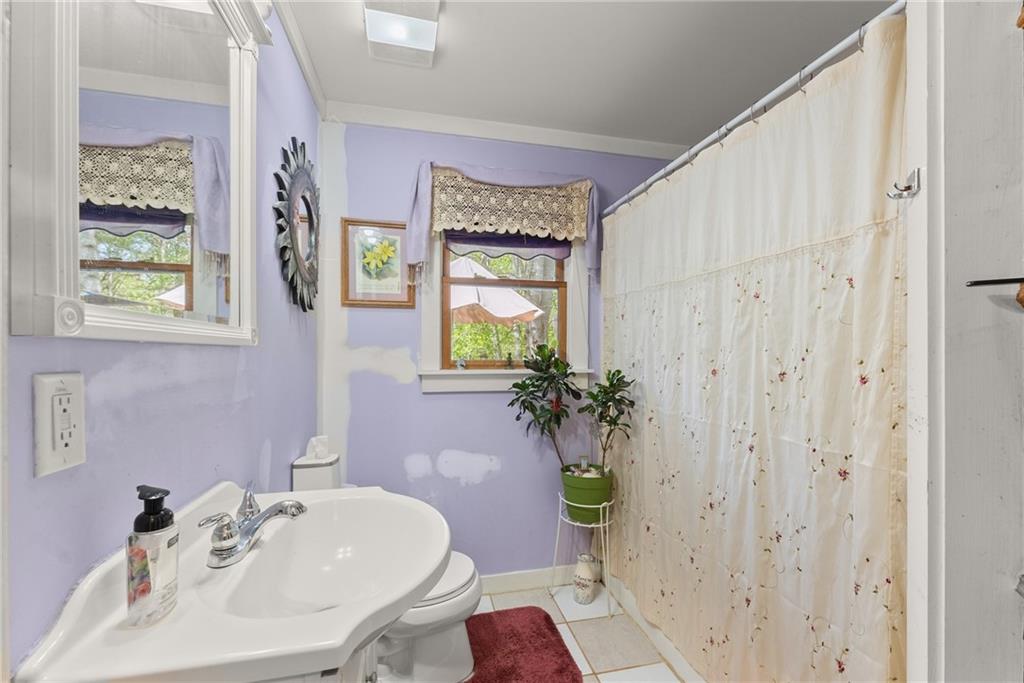 100 Peach Blossom Lane, Dawsonville, Georgia image 21