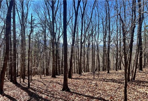 Vacant Land For Sale - 4428 Bee Tree Ridge Drive<br/> Jasper, GA 30143