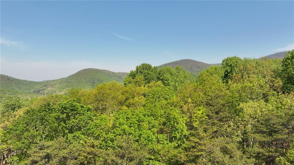 4428 Bee Tree Ridge Drive