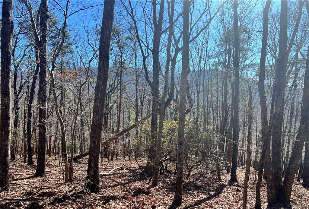 4428 Bee Tree Ridge Drive