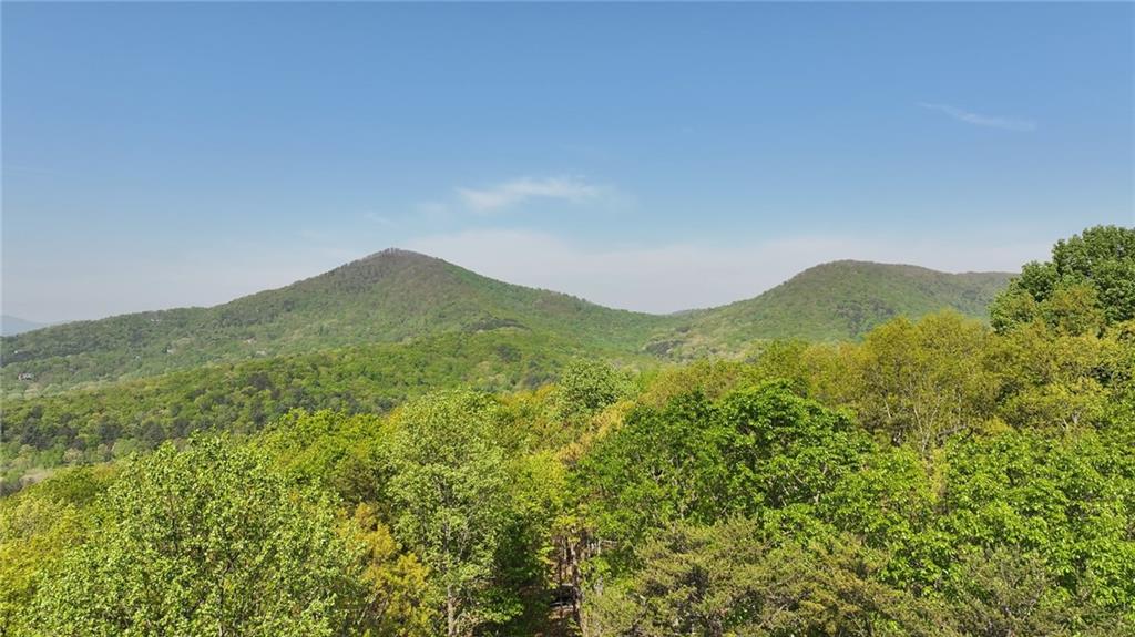 4428 Bee Tree Ridge Drive