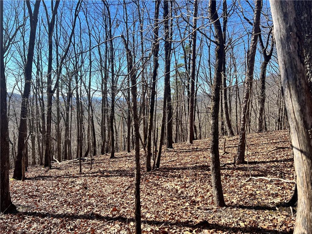 4428 Bee Tree Ridge Drive