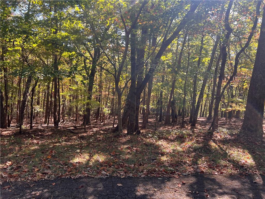 4428 Bee Tree Ridge Drive