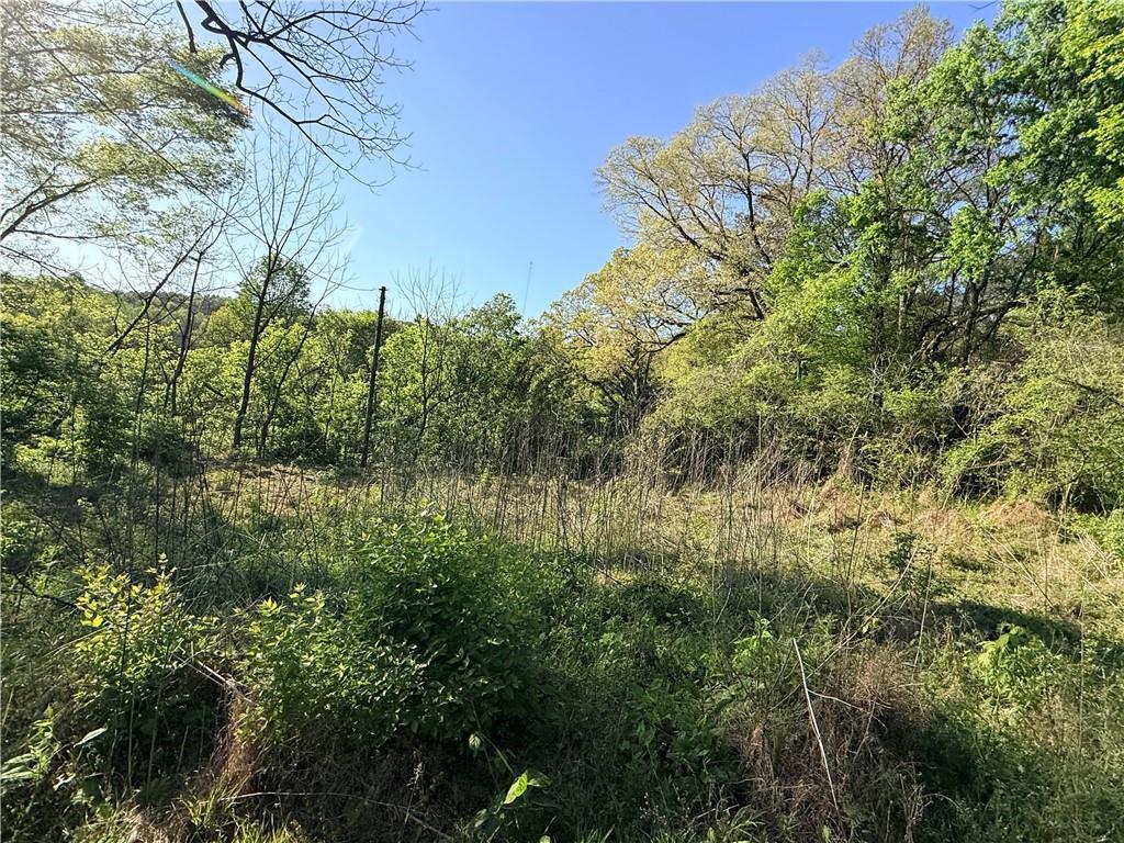 294 Holt Road