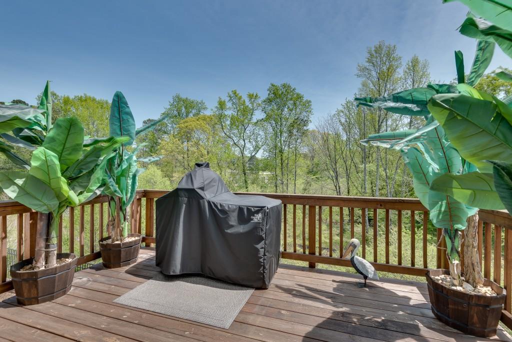 208 Idylwilde Way, Canton, Georgia image 39