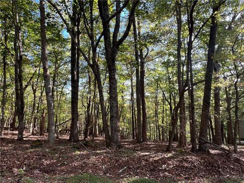 Vacant Land For Sale - 402 South View Trail<br/> Jasper, GA 30143