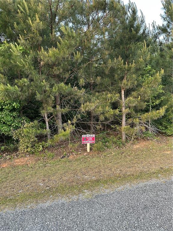 Lot 8 County Road 520