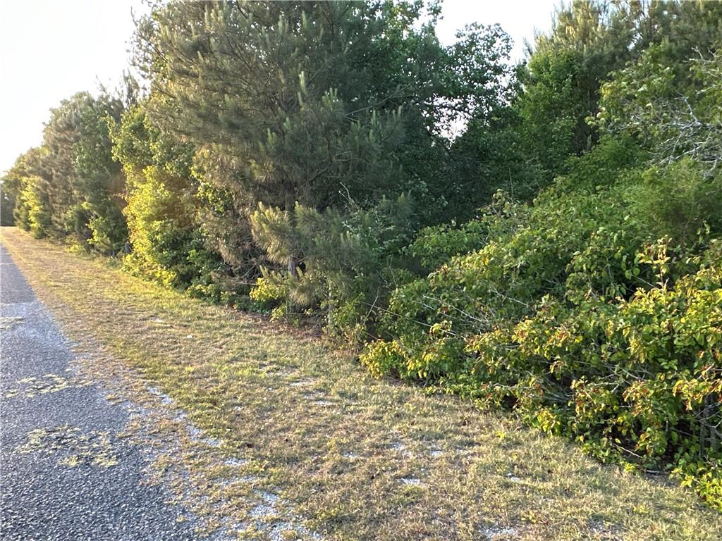 Lot 8 County Road 520