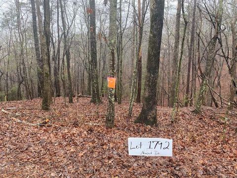 Vacant Land For Sale - 3190 Newport Drive<br/> East Ellijay, GA 30540