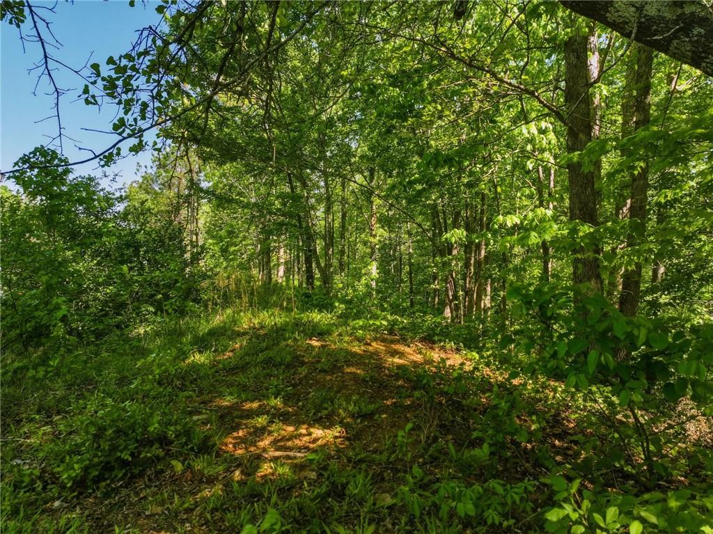 Lot 7 Summit Drive